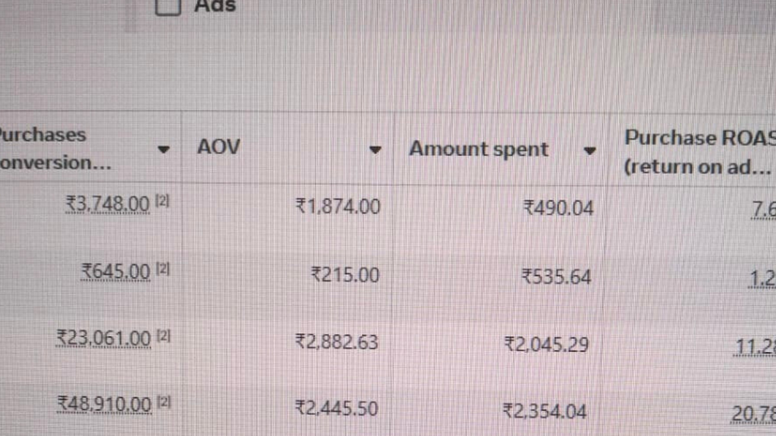 Google Ads campaign table showing spend, purchase conversion value and strong ROAS rows.