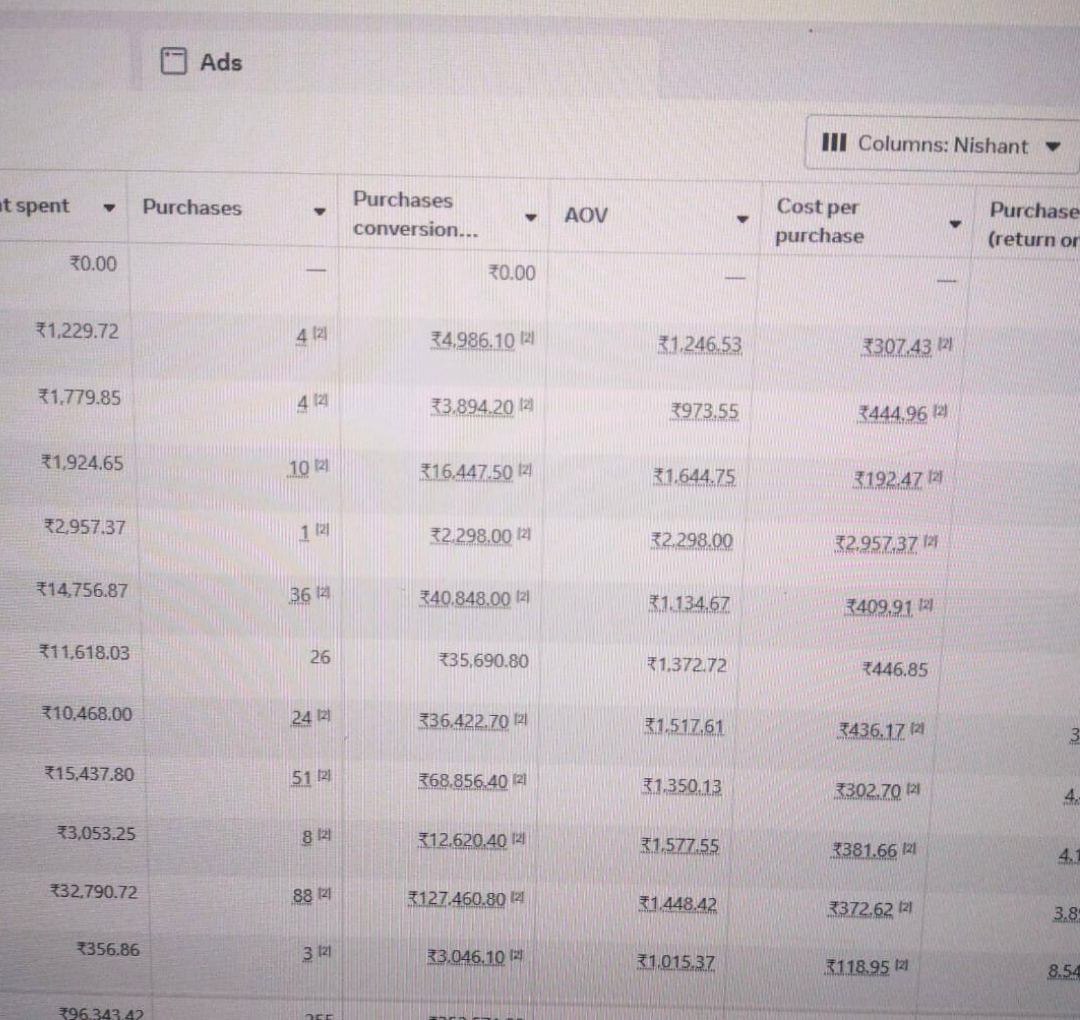 Meta Ads screenshot showing 255 purchases and 3.52 lakh purchase conversion value.