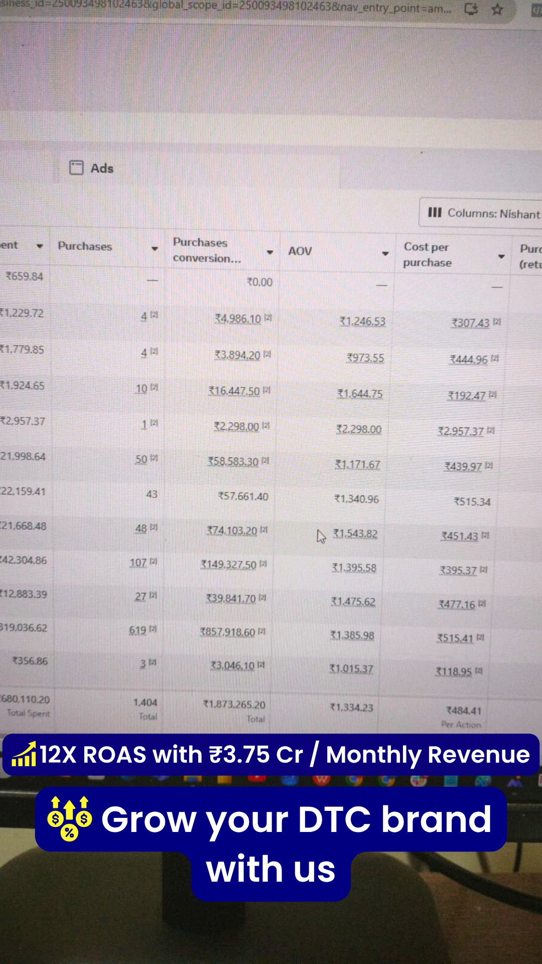 Meta Ads table showing 12X ROAS with 3.75 crore monthly revenue